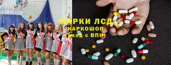 стаф Алзамай