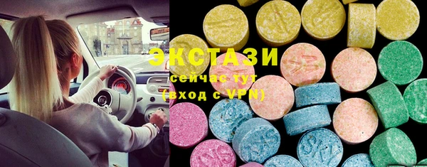 стаф Алзамай